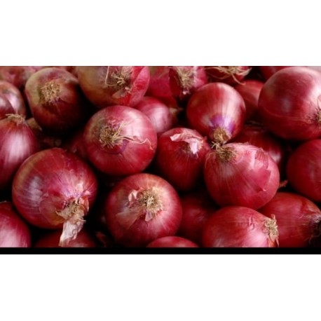 RED ONION 1 kg